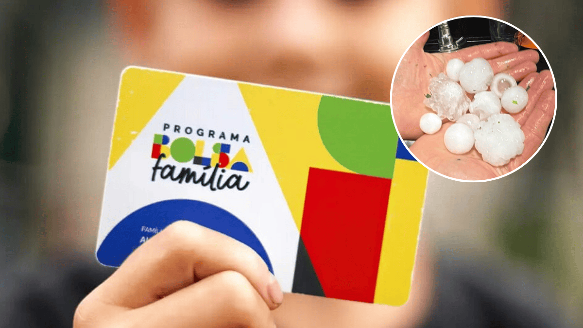 Bolsa Família: 11 cidades de SC terão pagamento antecipado em setembro devido a emergência